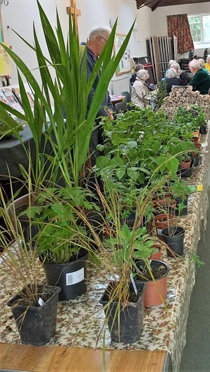 Plant sale