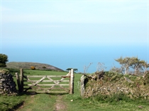 Exmoor Selworthy Beacon