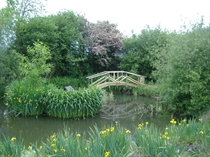 Garden Pond